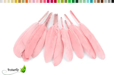 Produktbild von 10 Entenfedern ca. 10-15cm, Farbauswahl:rose 123 / zartrosa / hellrosa