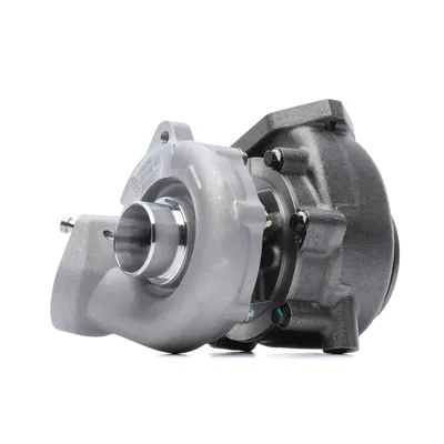 Produktbild von Turbolader ALANKO 10900202 für BMW 3 Touring (E91)