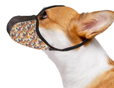 Productafbeelding van Mondkorf voor kleine honden, verstelbaar, comfortabel, om bijten en blaffen te voorkomen