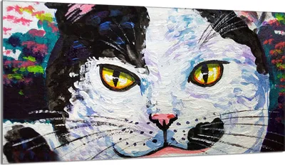 Produktbild von Glasschutzplatte für den Herd 90x52 Cat
