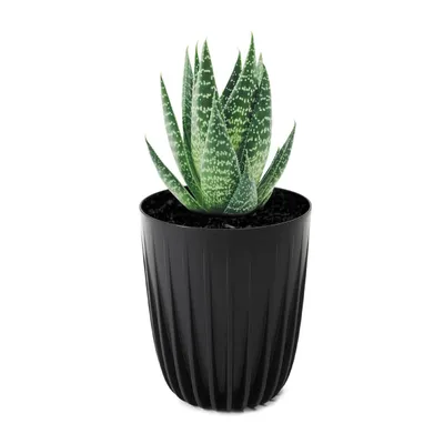 Image de Pot Stripped ECO recyclé noir 25 x 30 cm
