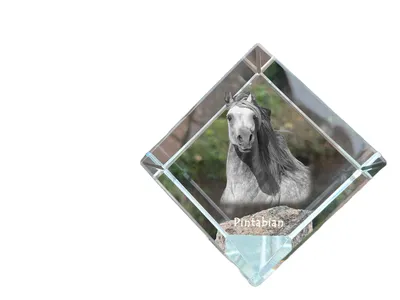 Immagine prodotto di Pintabian dado di cristallo con cavallo Art-Dog