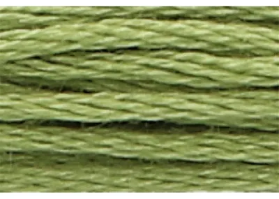 Immagine prodotto di Filo per uncinetto Anchor Sticktwist, 8 metri, color verde oliva, cotone, colore 266, 6 capi