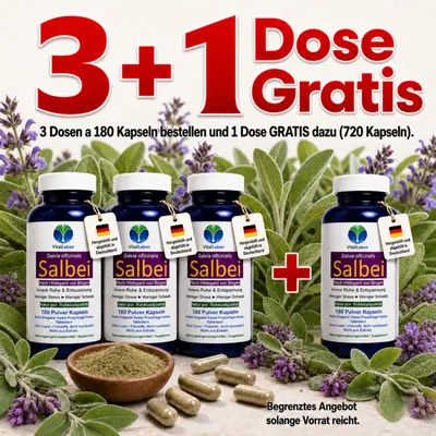 Produktbild von Salbei 720 (4x180) Pulver Kapseln nach Hildegard von Bingen Kein Extrakt Natur Pur Ohne Zusatzstoffe