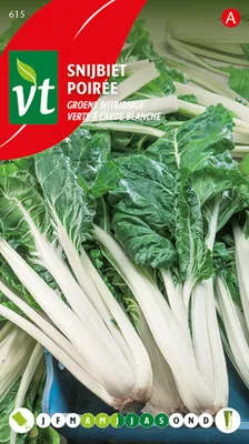 Immagine prodotto di Semi di barbabietola verde e bianca - Circa 4 gr | VT_615