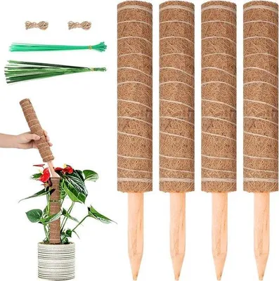 Produktbild von Famanu Pflanzenstütze für Monstera und Käsepflanze - Kokos-Mosstok - 4 Stück - Drahthalter - Juteseil - 157 cm