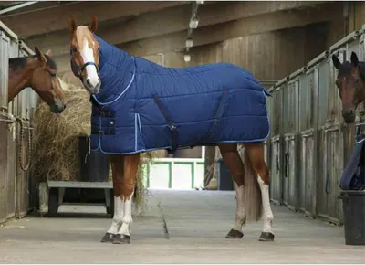 Obrázek produktu pro Rw Combo Stájová Deka Mblau 6'3