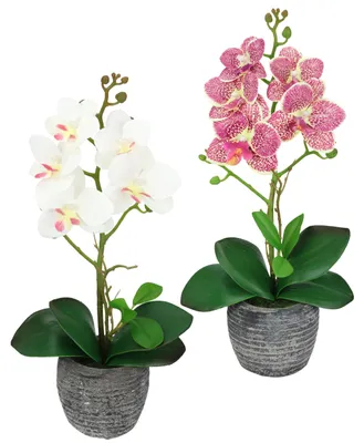 Obrázok produktu pre Sada 2 umelých orchideí Kunstblume, 35 cm, v kvetináči – umelé phalaenopsis