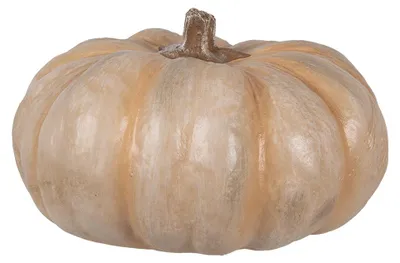 Image de Clayre & Eef Décoration Citrouille Ø 22x13 cm Beige Polyrésine