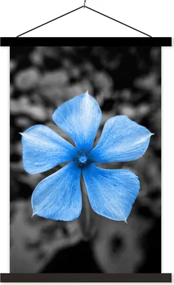 Produktbild von MuchoWow® Textilposter Blumen - Blau - Schwarz - Weiß 60x90 cm mit schwarzem Rahmen - Poster Wohnzimmer