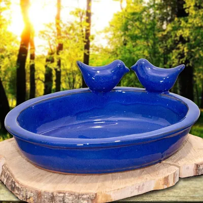 Produktbild von Vogeltränke, Vogelbad - Oval - Blau, Wasserschale als Vogelbecken