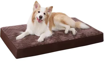 Image de Lit orthopédique pour chiens de grande et moyenne taille, coussin lavable, matelas moelleux avec housse amovible couleur chocolat, 90 x 55 x 7 cm