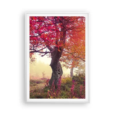 Produktbild von Gerahmtes Poster - Weißer Rahmen - Baum Natur Wiese - 70x100 cm - Wand Bild - Wanddeko - Wandbilder - Kunstposter - Wandposter - Bilderrahmen - Bilder - Kunstdruck - Wandbild - P2WPA70x100-3658
