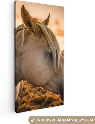 Produktbild von MuchoWow® - Leinwandbilder - Pferd - Tiere - Porträt, Wandbild, Wanddeko Bilder Wohnzimmer, 40x80 cm