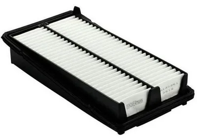 Obrázok produktu pre EBG Vzduchový filter motora Honda 17220P8CA00