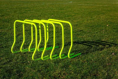 Immagine prodotto di Set di 5 siepi - 45 cm