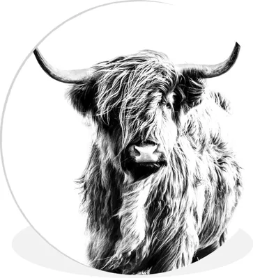 Produktbild von MuchoWow® Rundes Wandbild - Runde Bilder Schwarz und Weiß - Schottischer Highlander - Tiere Ø 90 cm Kreis Wanddekoration Kunststoff - Wandkreis - Wandschmuck - Wand-Kreis - Wohnzimmer - Bild - Runde - Wanddeko - Dibond - Kunstdrucke
