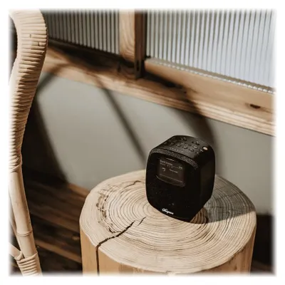 Produktbild von SANGEAN DCR-83 Tischradio DAB+, UKW AUX, Bluetooth®, DAB+, UKW, USB Akku-L