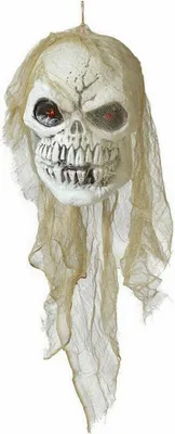 Immagine prodotto di Teschio per la decorazione di Halloween