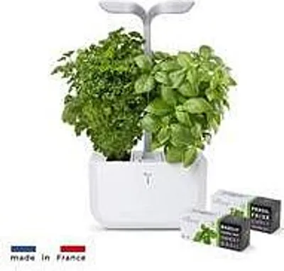 A white automatic herb planter with two types of herbs growing, and two small seed pods in front. The French flag and 'made in France' text are visible in the bottom left corner.