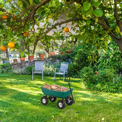 Produktbild von Famanu Bollerwagen mit Kippfunktion - Transportwagen für bis zu 200 kg - Luftreifen 3.50-4" - Handgriff - Grün