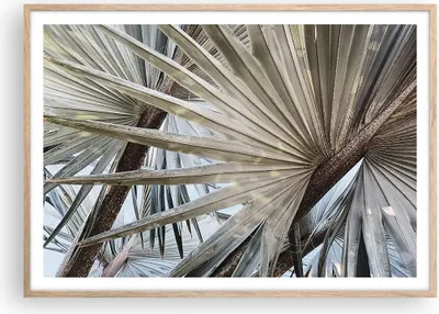 Produktbild von Gerahmtes Poster - Rahmen in heller Eiche - Blatt Palme Natur - 100x70 cm - Wand Bild - Wanddeko - Wandbilder - Kunstposter - Wandposter - Bilderrahmen - Bilder - Kunstdruck - P2NAA100x70-5056