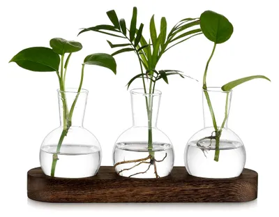 Produktbild von Terrarium Pflanzen Blumenvase Hydrokultur: Vintage Vermehrungsstation Hydroponische Kleine Vasen für Tischdekoration, Terrarium Glasvase mit Holztablett, 3 Kleine Glasvasen für Tischdekoration Büro Dekoration