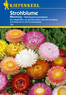 Immagine prodotto di Miscela di immortelle | Miscela di semi di fiori di Kiepenkerl