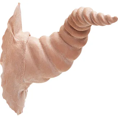 Produktbild von Latex hoorns sylph