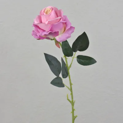 Produktbild von artplants.de Textil Rose Eleazar, pink, 65cm, Ø9cm - Kunstrose