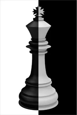 Produktbild von Wallario Poster - Schachfigur schwarz-weiß, Kunstdruck Größe: 100 x 150 cm