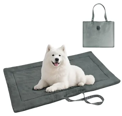 Image de Couverture imperméable pour chien - Lit pliable pour chien - Tapis de sol pour chien, idéal pour l'extérieur - Coussin pour chien lavable - 127 x 70 cm - Doux en polaire