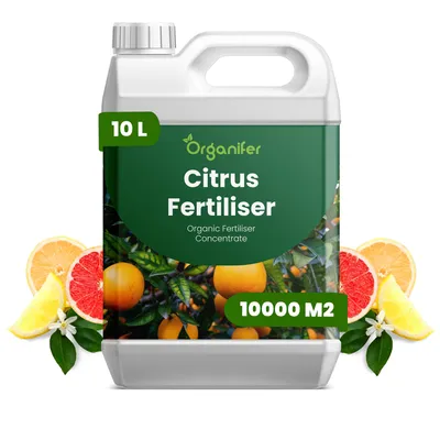 Produktbild von Zitrusflüssigdünger 10L – 2-1-8 NPK – Flüssigdünger Für Zitruspflanzen – Für Blätter, Üppige Blüte & Fruchtbildung – Organifer