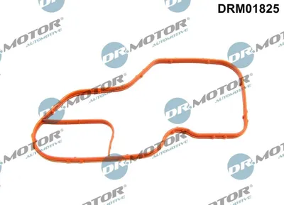 Image de Joint De Thermostat Renault Captur 0.9/1.2Tce 13-