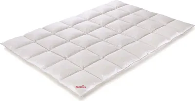 Produktbild von Paradies Daunendecke 155x220 cm Übergangs Decke "Galia 100" RDS Gänsedaunen 100% Gänsedaunen 100% Baumwolle