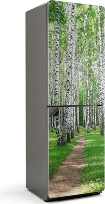 Produktbild von Baumallee im Wald – Magnetische Kühlschrank Abdeckung – Dekorfolie magnetisch Küche – Kühlschrank Magnet Deko – selbstklebende Magnettafel – Magnetfolie für Kühlschranktür – 60x180 cm