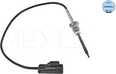 Image de Capteur, Abgastemperatur
