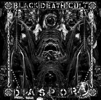 Produktbild von Diaspora
