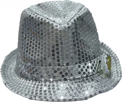 Produktbild von Mottoland 41493011, Karnevalskostüm-Hut, Weiblich, Polyester, Silber, 79 g, 1 Stück(e)