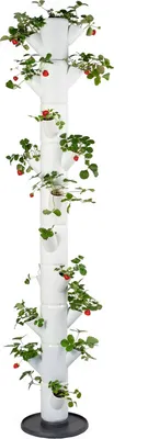 Obrázek produktu pro Gusta Garden SISSI STRAWBERRY Infinity samozavlažovací truhlík 10 pater, bílý