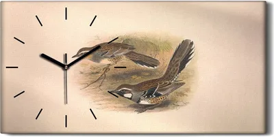 Produktbild von Wanduhr Bürouhr Leinwand Bild Geräuschlos 60x30 Vögel Wild Tiere Zeichnung Kunst - schwarze Hände