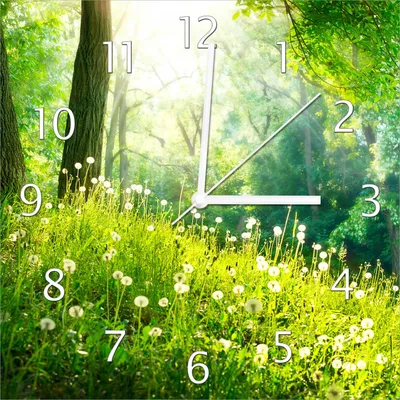 Produktbild von Wallario Design Wanduhr Pusteblumen im Wald mit einfallenden Sonnenstrahlen aus Echtglas, Größe 30 x 30 cm