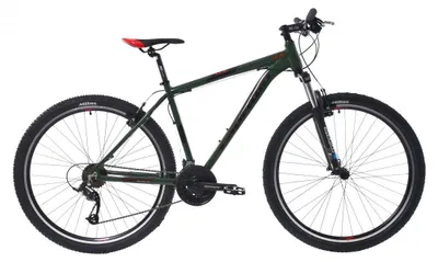 Immagine prodotto di Bicicletta da montagna Capriolo LC 9.1, modello 29"/21, telaio in alluminio, colore verde e rosso, anno 2024