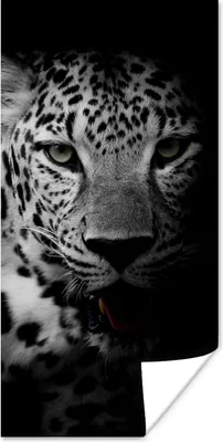 Produktbild von MuchoWow® Poster Tiere - Schwarz - Weiß - Panther - Porträt 60x120 cm - Wandschmuck