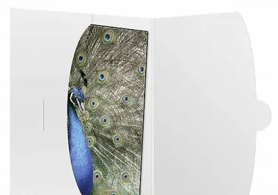 Imagen del producto de 1 funda protectora Daiber, tamaño hasta 15x20 cm, color blanco