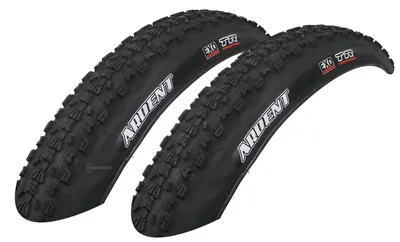 Produktbild von 2x Maxxis Ardent 56-584 DualCompound EXO Protection Faltreifen 27.5x2.25 Reifen