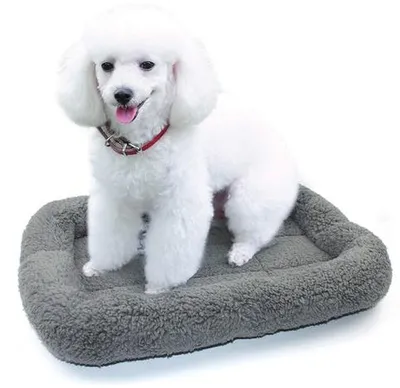 Produktbild von Weiches Katzenbett 56x41cm, Warm, Antirutsch, Waschbar, Kissen