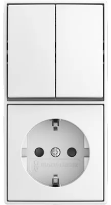 Obrázek produktu pro BUSCH JAEGER Kombination Wippschalter 2601/5/20 EAPBJ-524 (2TKA00005538)