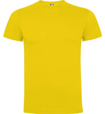 Image de Roly - T-shirt « Dogo Premium » pour homme LT6128 (M) (jaune)
