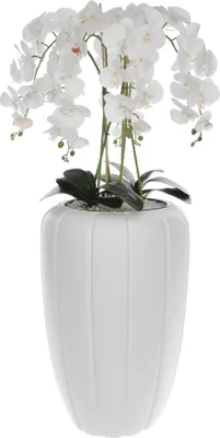 Produktbild von Weiß Künstliche Orchidee Kaskaden Blumenstrauß im Weiß Topf, ca. 112 cm Hoch, gummierte Blumen, 5 Triebe Heimbüro Dekoration